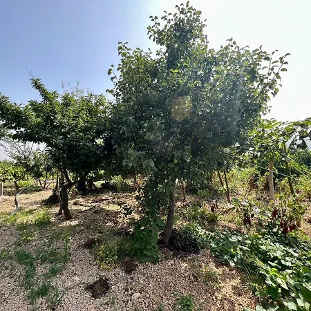 Сasa de vacaciones Casa Cueva Con Barbacoa, Wifi Y Vista *