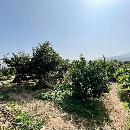 Сasa de vacaciones Casa Cueva Con Barbacoa, Wifi Y Vista *